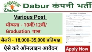 Dabur India Bihar Job