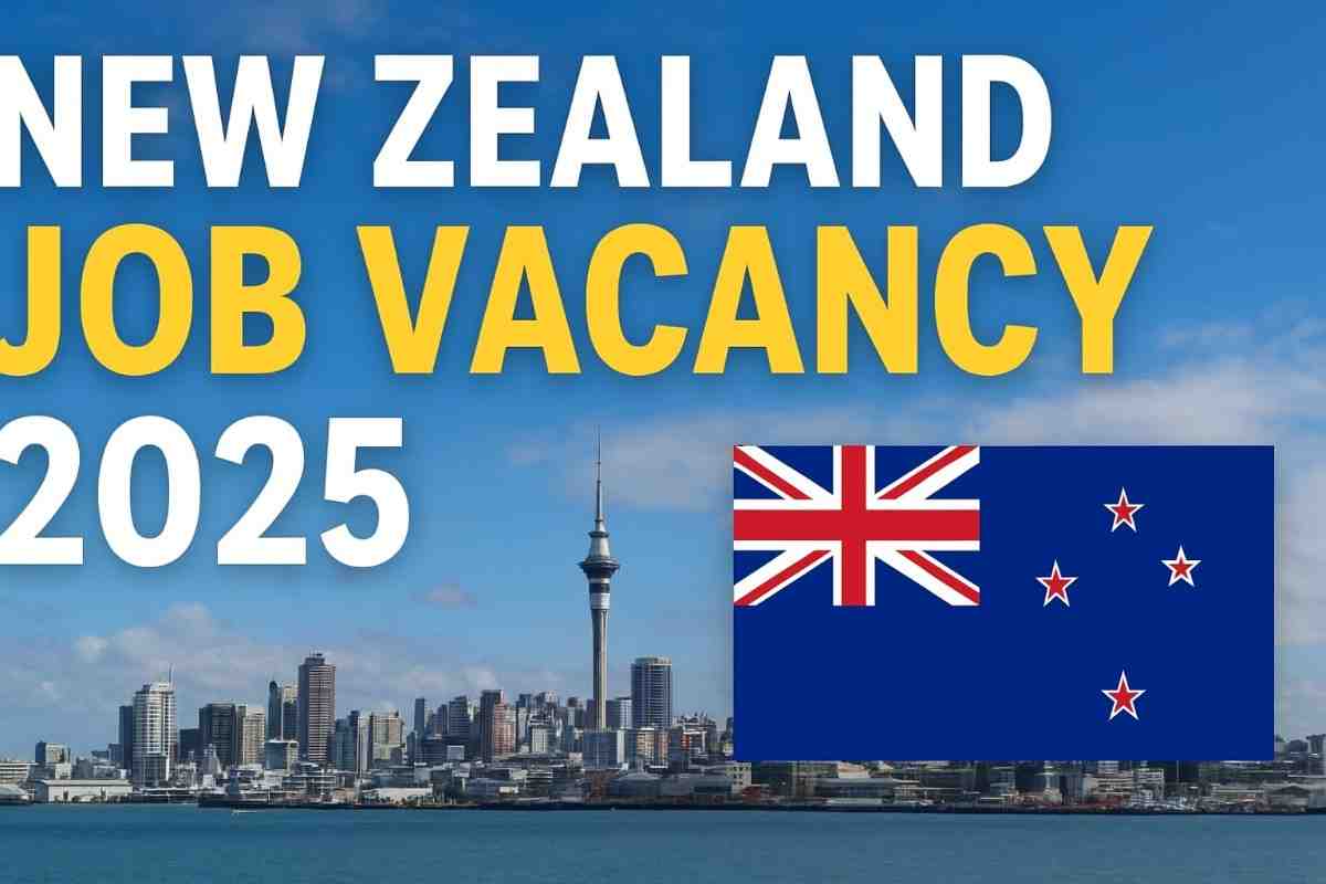 New Zealand Latest Job Vacancies 2025 | Apply Now - Amfonet