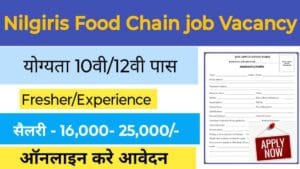 Nilgiris Food Chain Job Vacancy