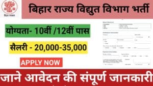 Bihar State Electricity Department