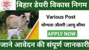 Bihar Dairy Development Corporation