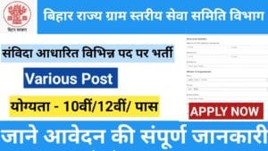 Bihar State Village Level Service Committee