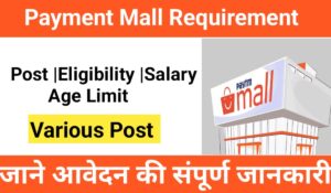 Paytm Mall Warehousing