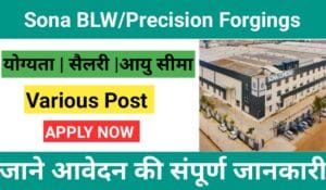 Sona BLW Precision Forgings