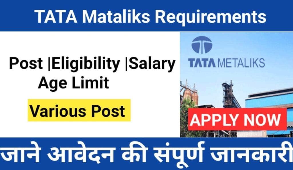 Tata Mataliks