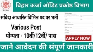 बिहार ऊर्जा ऑडिट प्रकोष्ठ