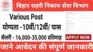बिहार शहरी निकाय सेवा