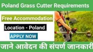 Poland Grass Cutter