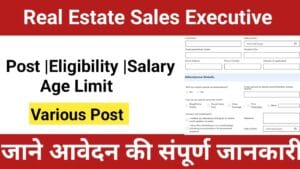 Real Estate Sales Executive